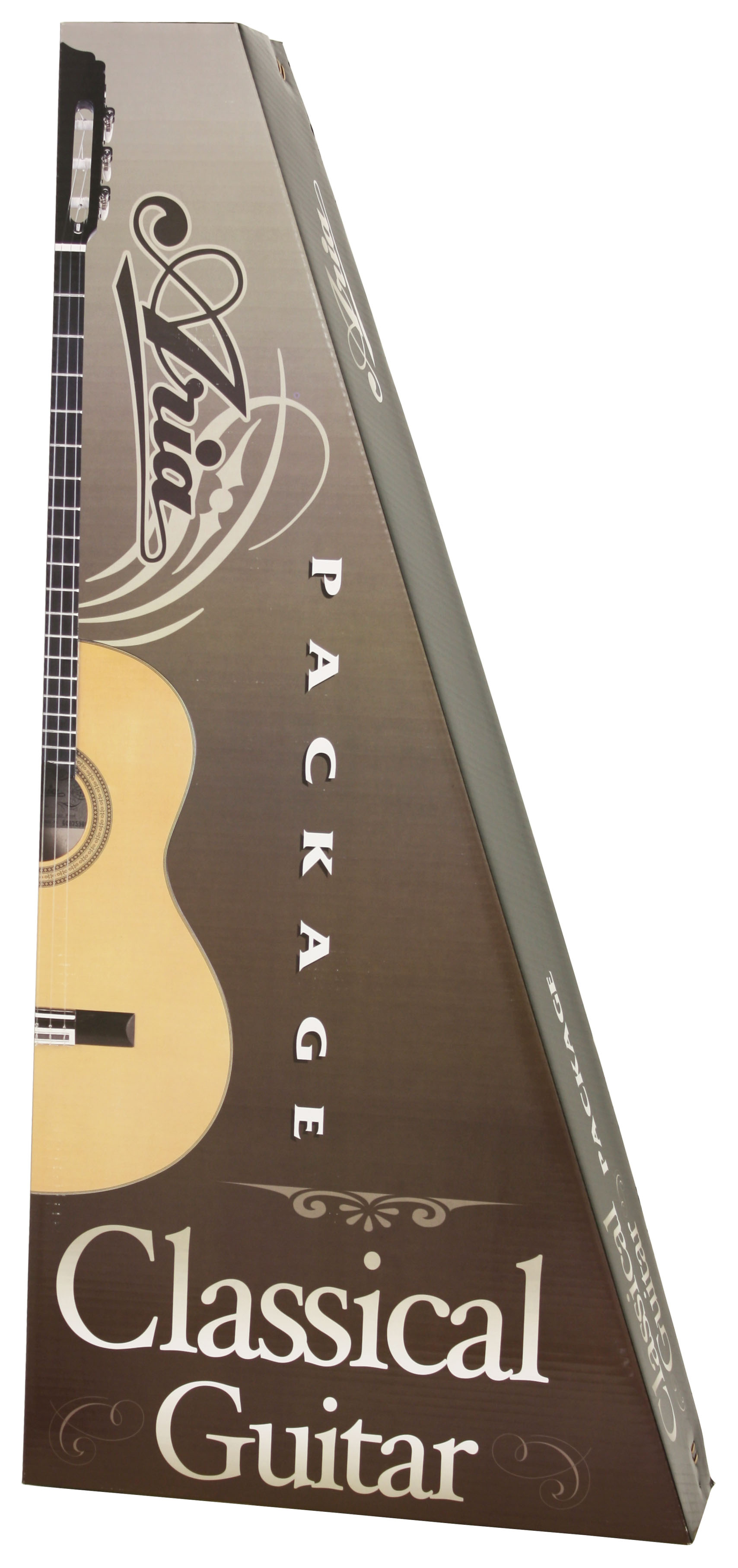 Aria CGPN-002 Natural Classical Guitar Set
