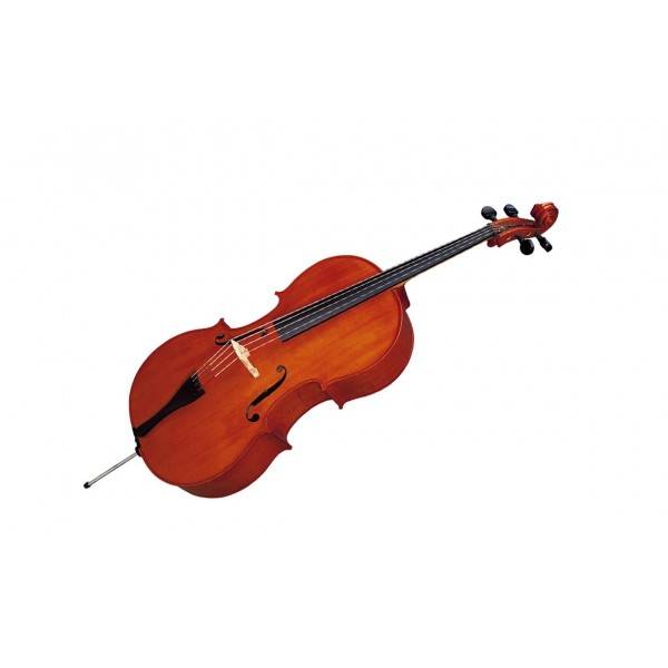 STRUNAL Ν.40/1 & Case Cello 1/2