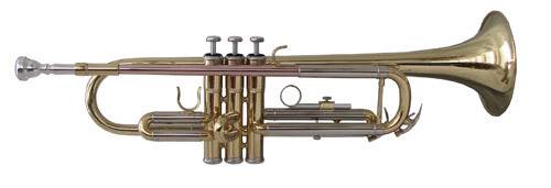 SOUNDSATION STPGD-10 & Case Trumpet