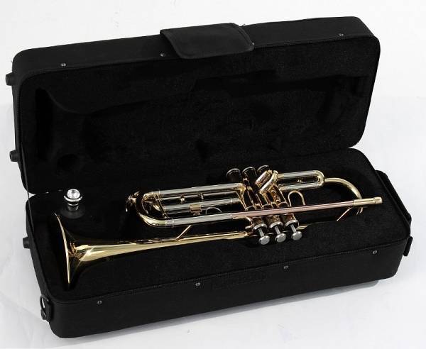 SOUNDSATION STPGD-10 & Case Trumpet