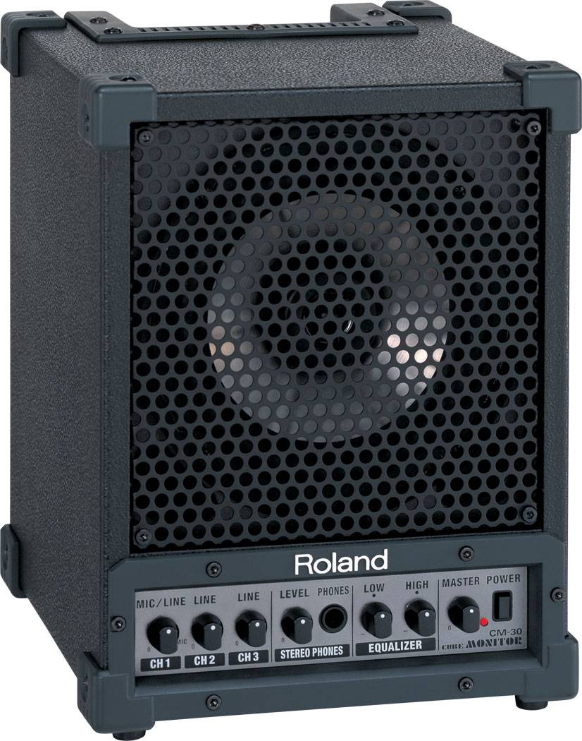 Roland CUBE CM-30 30 Watt Monitor Speaker