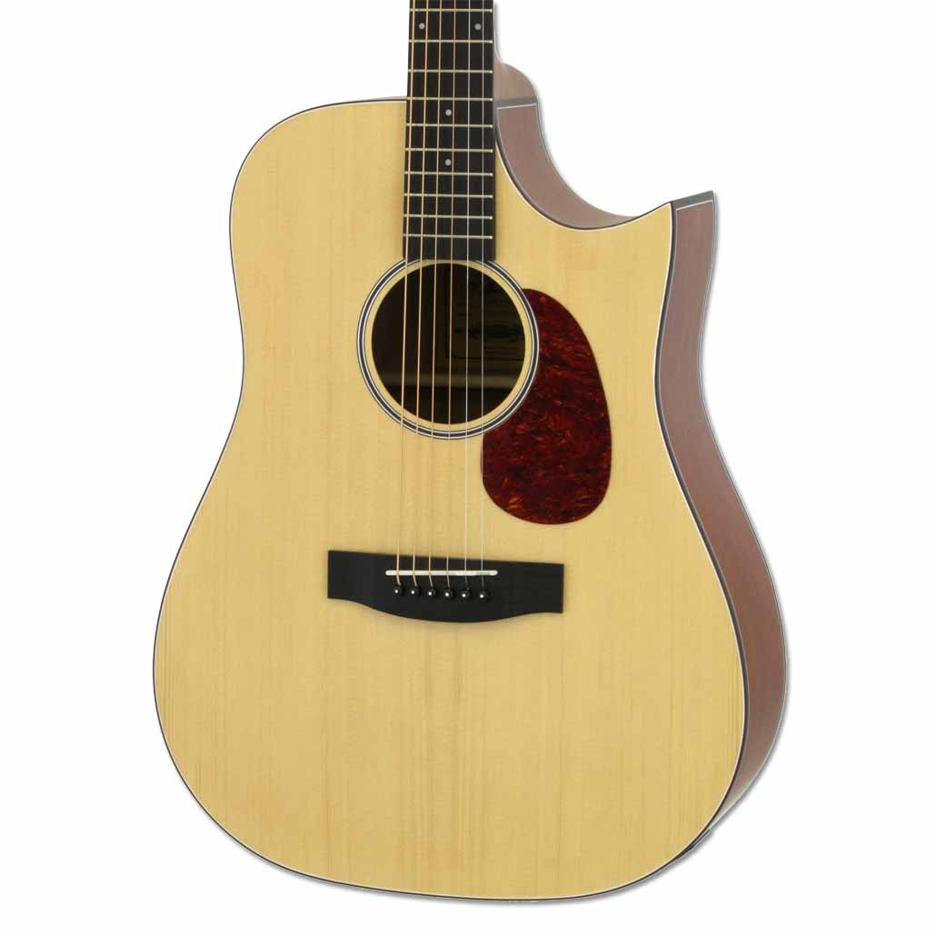 Aria 111 Cutaway Matte Natural