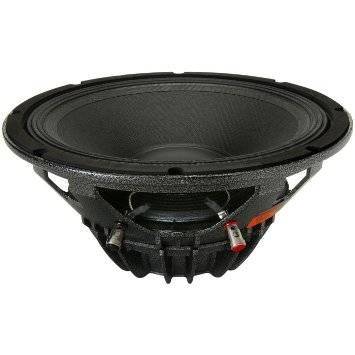 Selenium 12 inch sales speaker