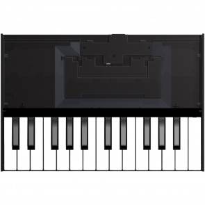 Roland K-25M Boutique Keyboard Keys
