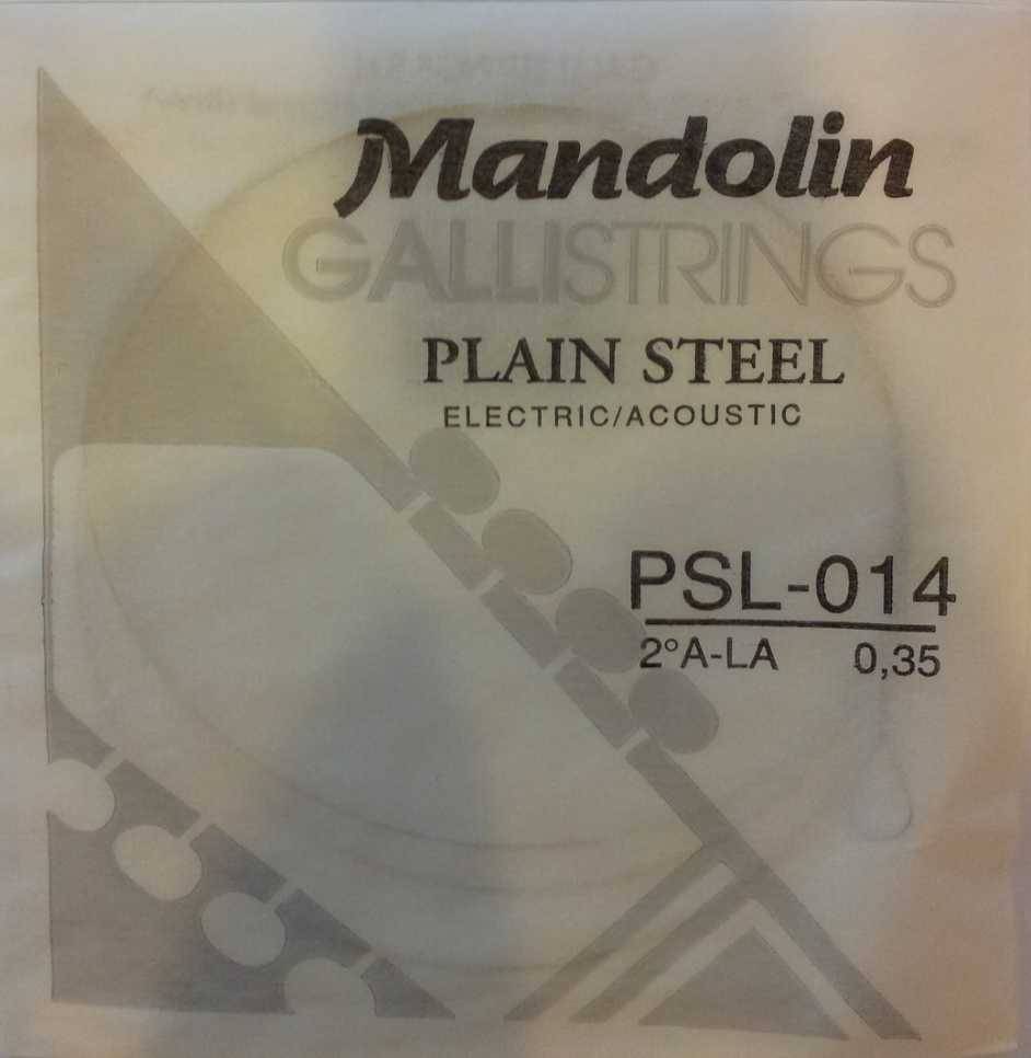 Galli PSL014 Mandolin A-String N.2