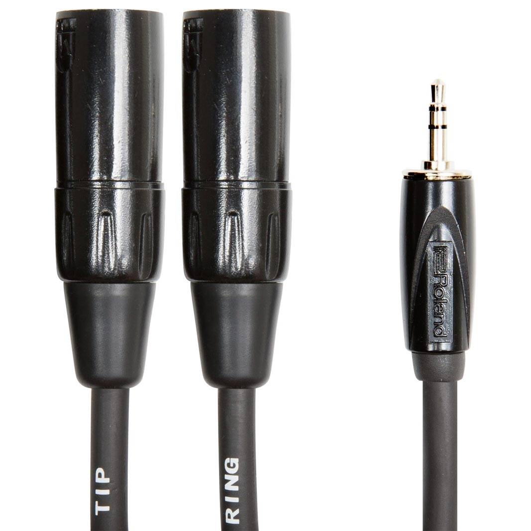 Roland Black Series Mini Jack Stereo - 2 XLR Male 1.00m Adapter Cable