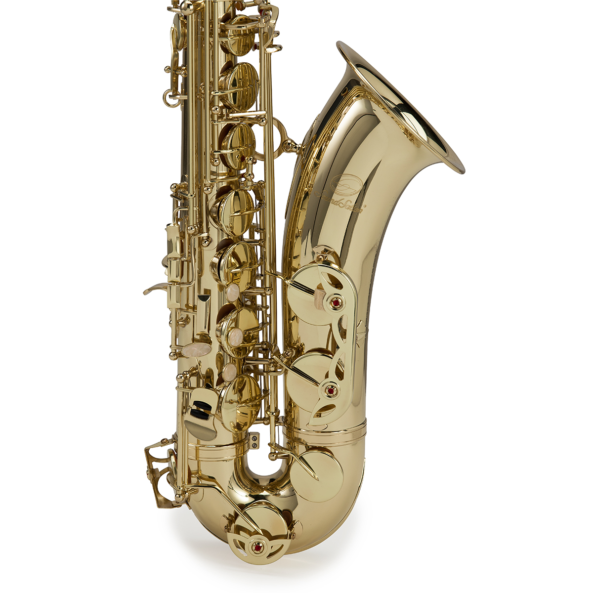 SOUNDSATION STNSX-20 Tenor Bb & Case Saxophone