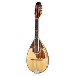 Acoustic Mandolin